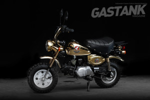 GOLDEN MONKEY