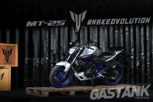 MT 25-06