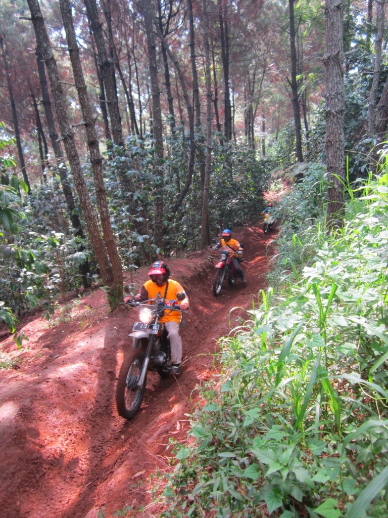 @jalur - gengggss